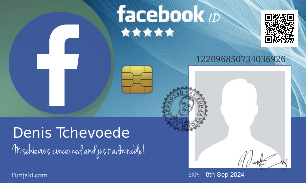 Denis Tchevoede's Facebook ID Card - Funjaki.com