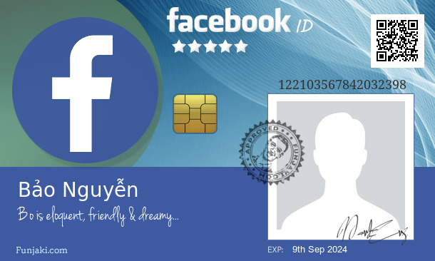 Bảo Nguyễn's Facebook ID Card - Funjaki.com