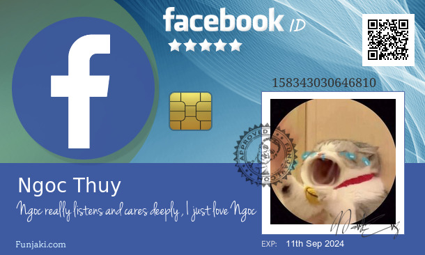 Ngoc Thuy's Facebook ID Card - Funjaki.com